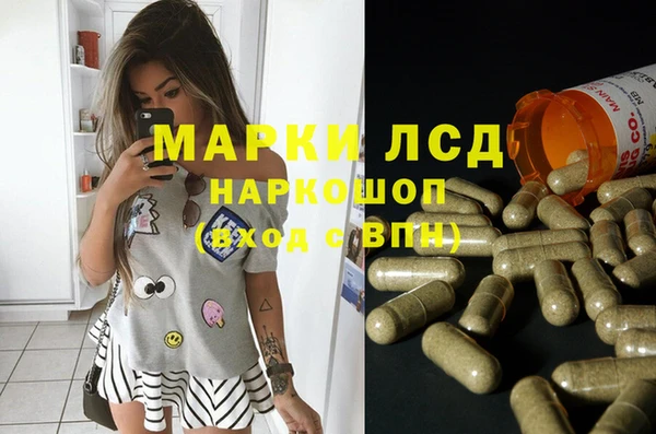 гашик Абинск