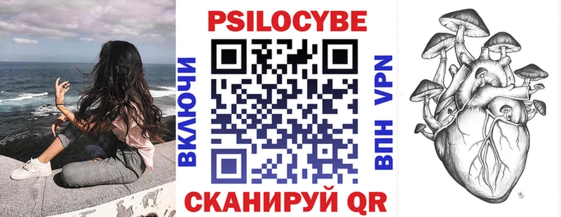 блэк спрут вход  Альметьевск  Псилоцибиновые грибы мицелий 